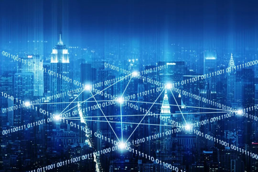  智能科技赋能训练，大数据助力精准选材  